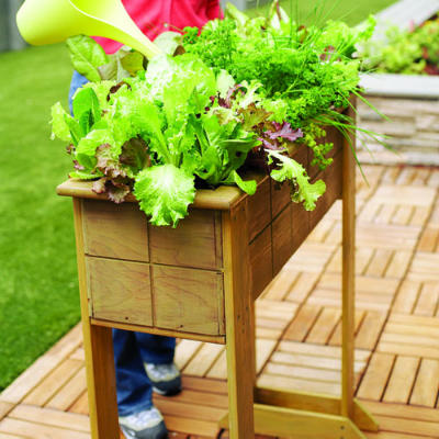 wooden plant beds and containers