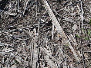 woodworking projects