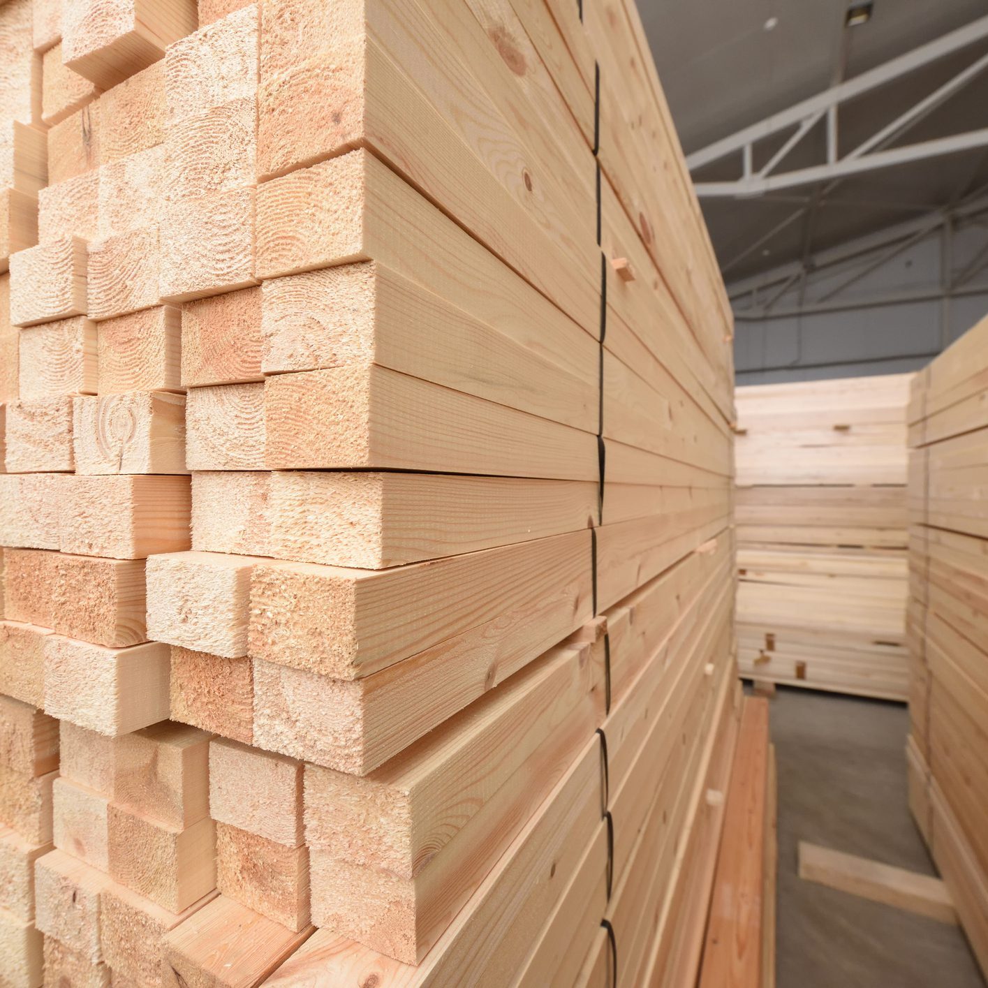 Piles of timber ready for use